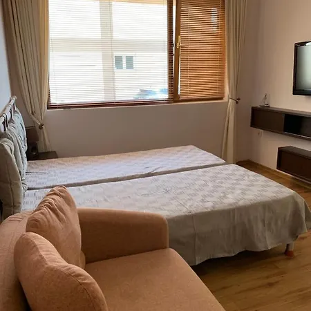 Appartement анси *