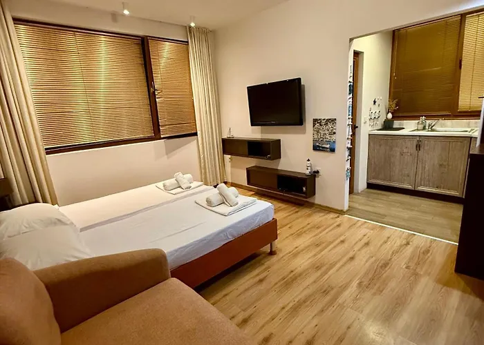 анси * 帕莫瑞